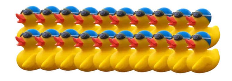 20 badeendjes