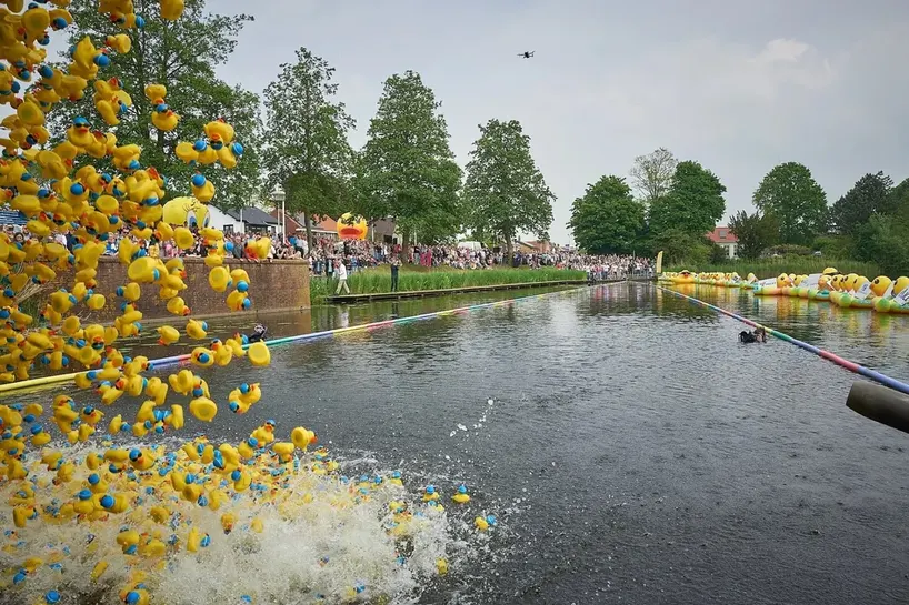 Eendjes vallen vanaf de hoogte het water in tijdens de start
